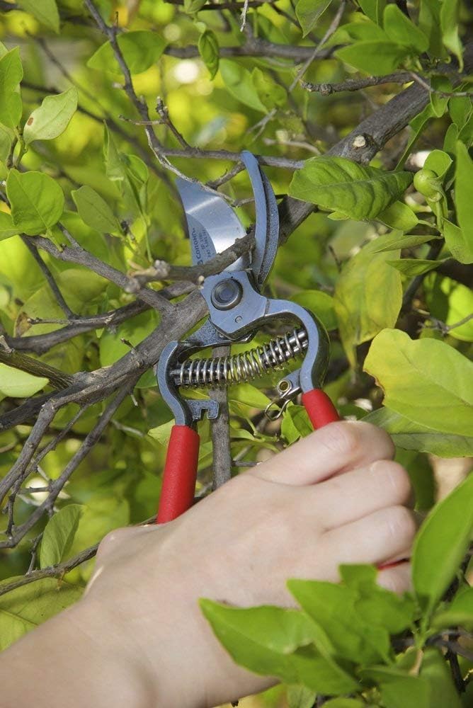 Corona ClassicCUT Forged Bypass Pruner – Heavy Duty 1-Inch Cut Tool