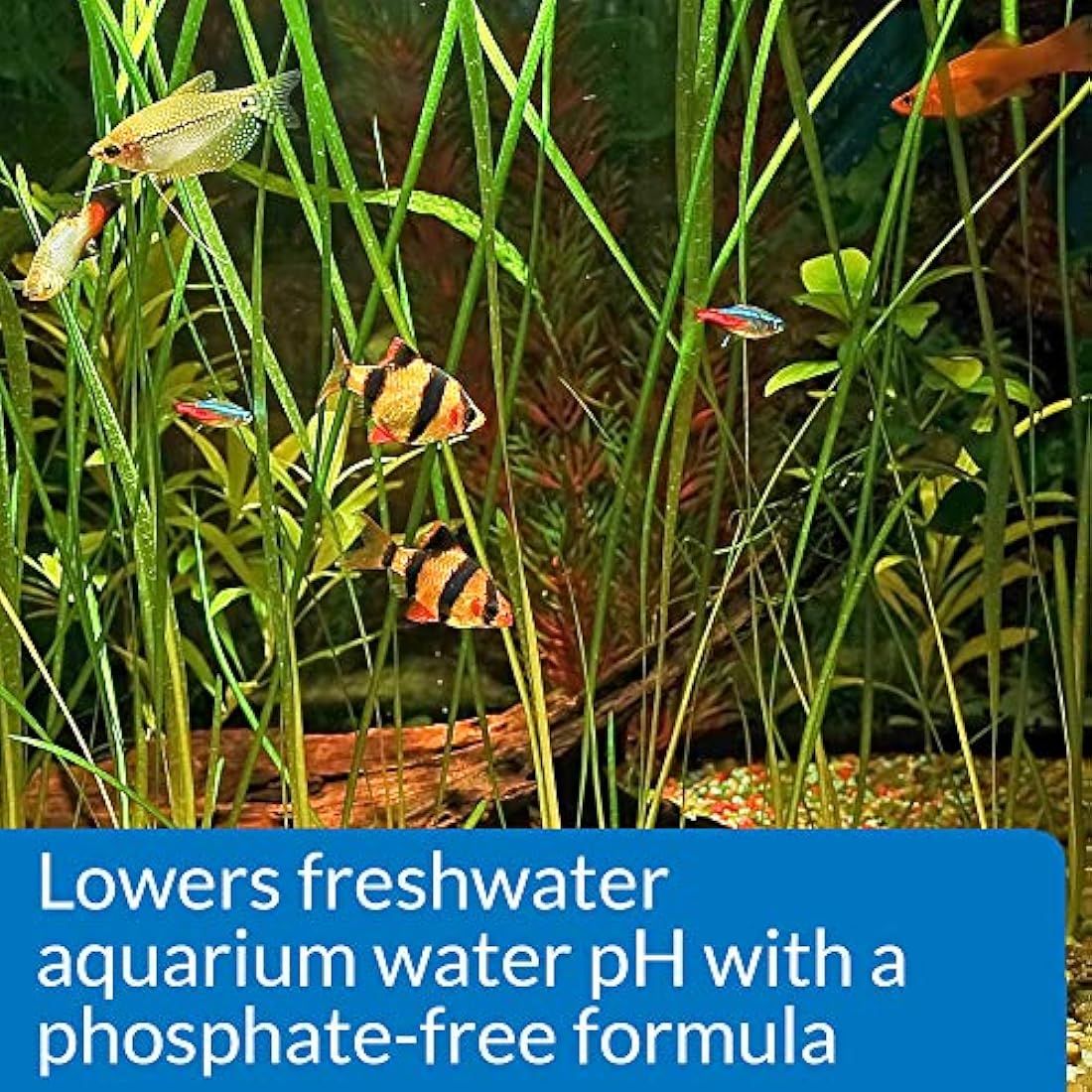 API pH DOWN Freshwater Aquarium Water pH Reducing Solution - 118 ml