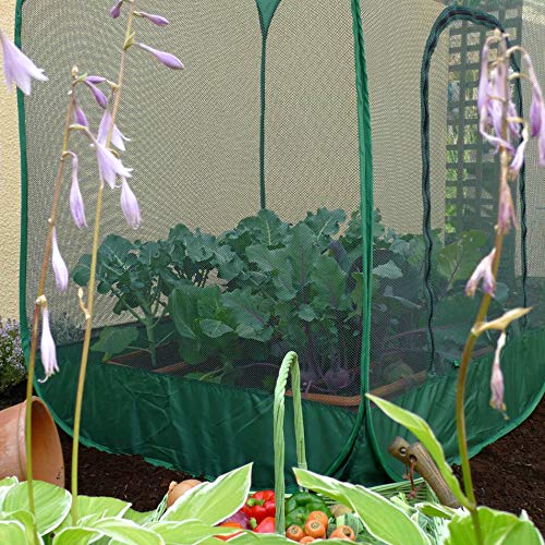 GardenSkill Pop-Up Fruit & Veg Cage – 4mm Anti-Bird Netting, 1.35m High