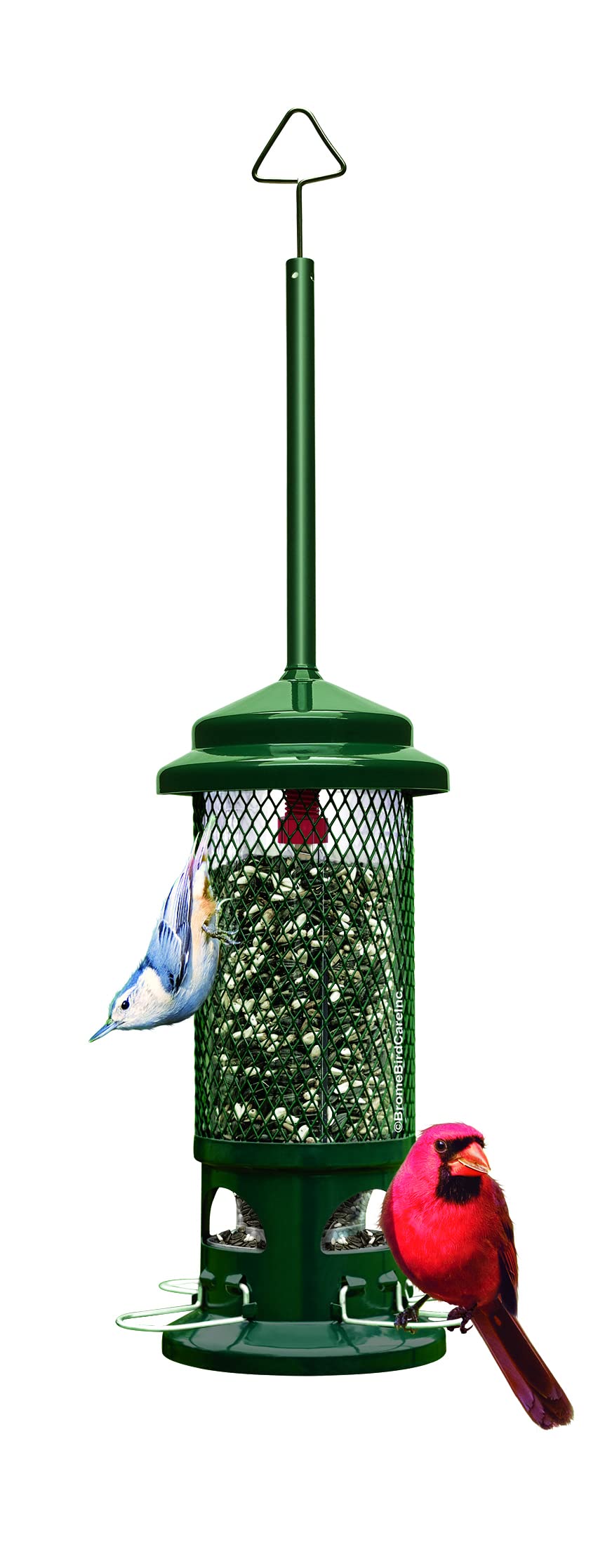Squirrel Buster Standard Bird Feeder - Squirrel-Proof Metal, 1.3lb
