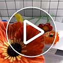 Artificial Poppy Flowers | 10 Stem UV-Resistant PU Bouquet - Red