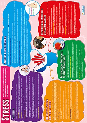 Psychology in Action Posters | Set of 6 A1 Gloss Charts |
