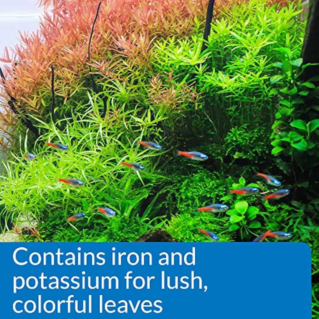 API Leaf Zone Freshwater Aquarium Plant Fertilizer with Iron - 237 ml