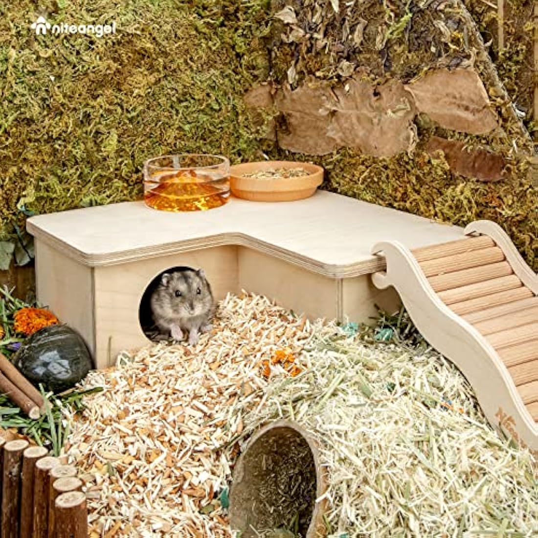 Niteangel 3-Chamber Hamster House – Birch Wood Maze Hideout for Dwarf Hamsters