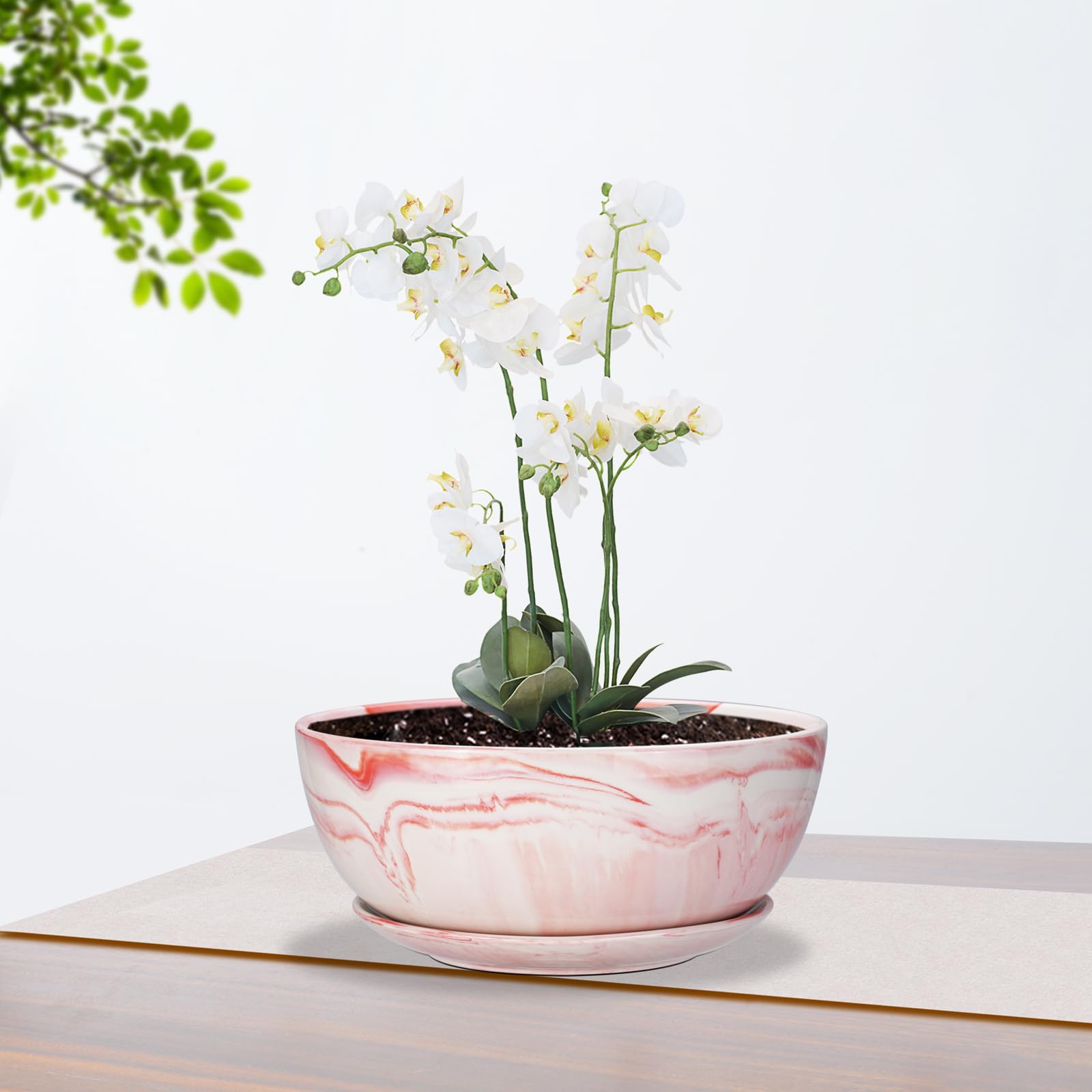 EPGardening 10-Inch Marble Ceramic Succulent Planter Pot with Tray