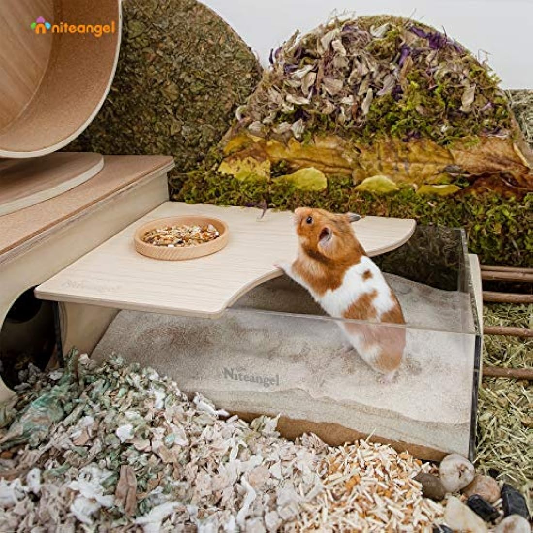 Niteangel Hamster Sand Bath Box – Acrylic Small Animal Digging Container