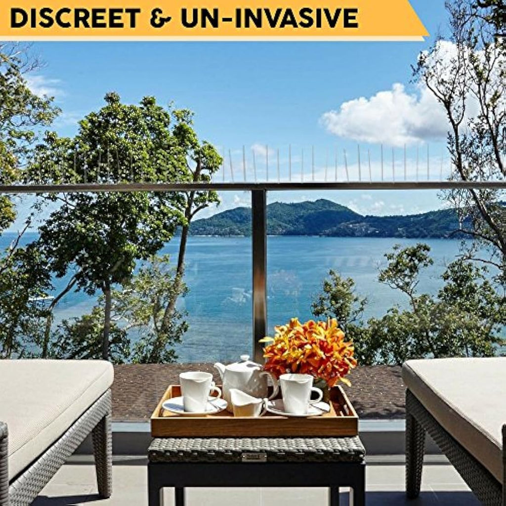 Defender Plastic Pigeon Spikes - 6m Bird Deterrent Kit
