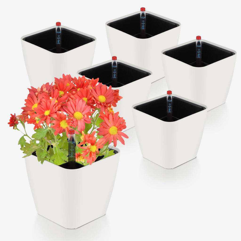 Jolof Store Self-Watering Pots with Water Level Indicator - 6 Pack