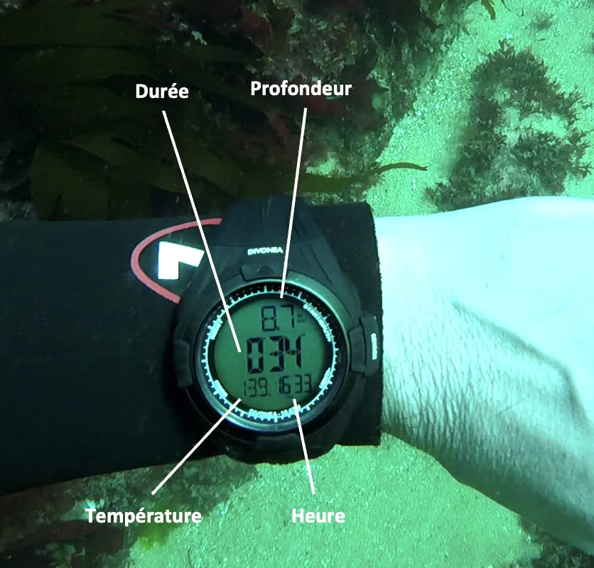 DiVONEA Dive Computer – Freediving & Spearfishing Watch | 10 ATM