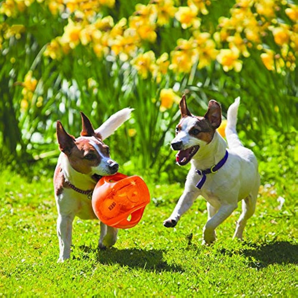 KONG Jumbler Ball – Interactive Squeaky Fetch Toy for Large Dogs