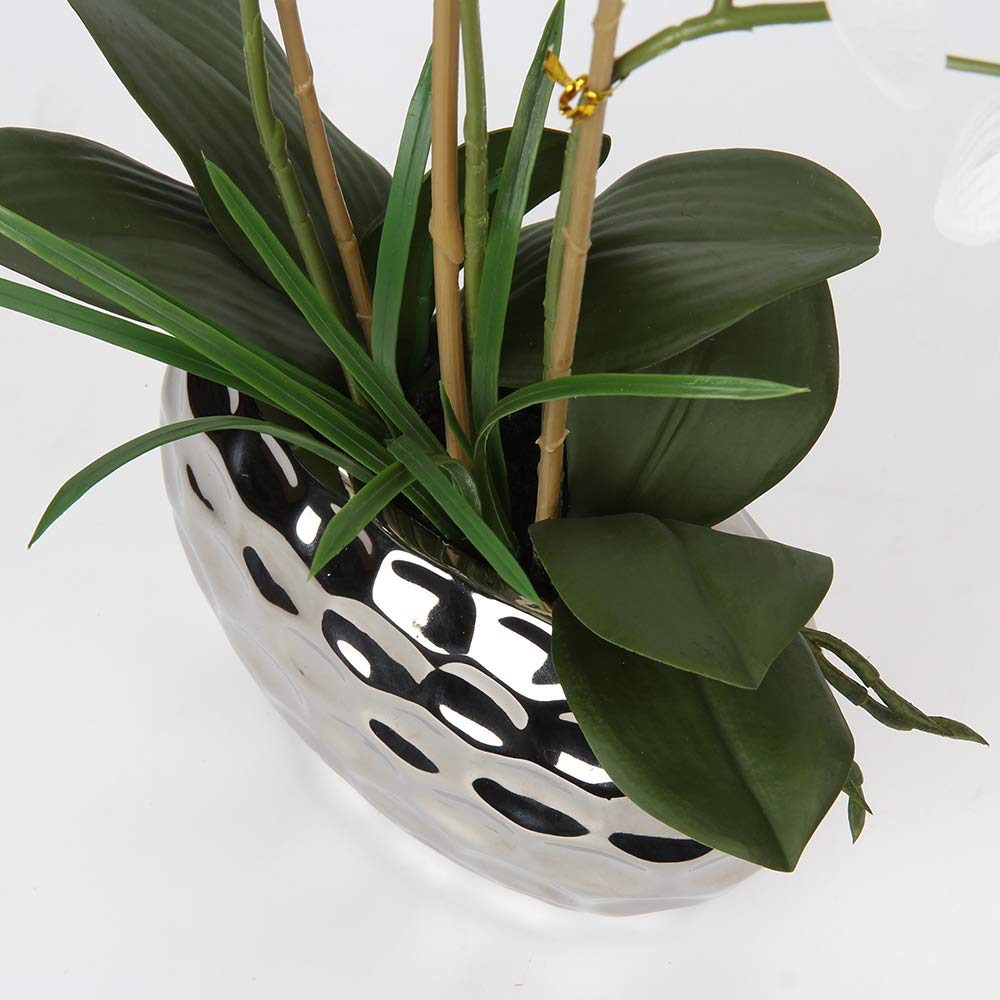 Briful 17" Real Touch Artificial Phalaenopsis Orchid in Silver Ceramic Pot