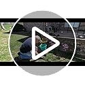 Metal Garden Fence – 10 Pack Rustproof Decorative Wire Panels