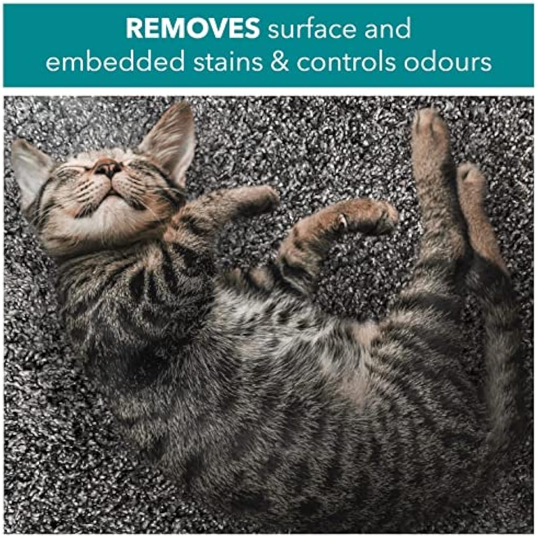 RSPCA Probiotic Pet Stain and Odour Remover - Wee Away 2 x 500ml