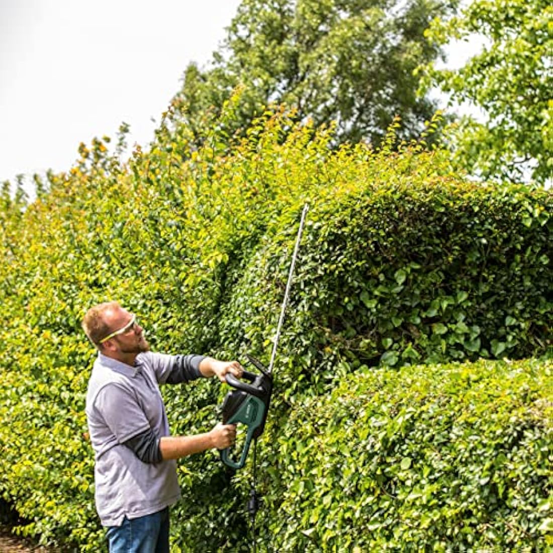 Bosch UniversalHedgeCut 60 Electric Hedge Trimmer - 480W, 60cm Blade