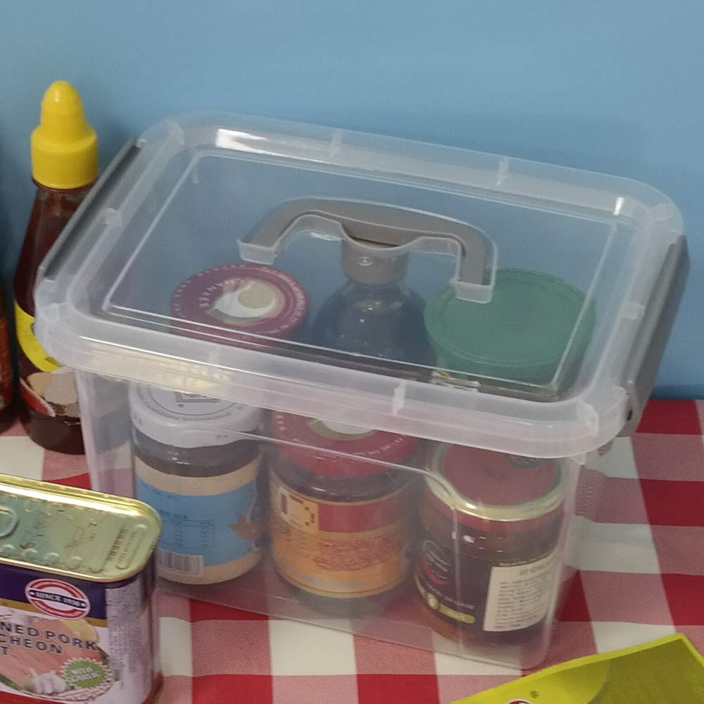 Dynko Plastic Storage Boxes, Clear Containers, Boxes with Lids Set of 4 - image 5