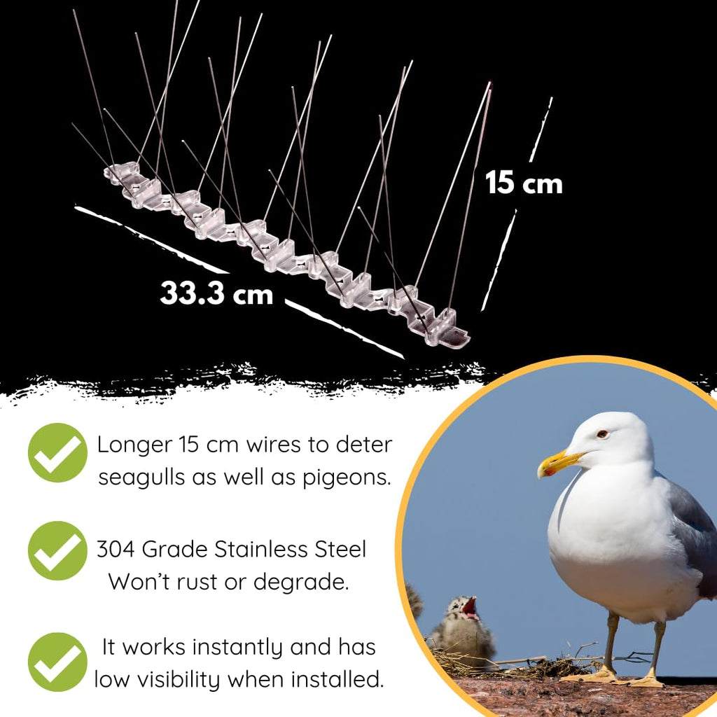 Stainless Steel Seagull Bird Spikes Deterrent Kit – 3 Metre