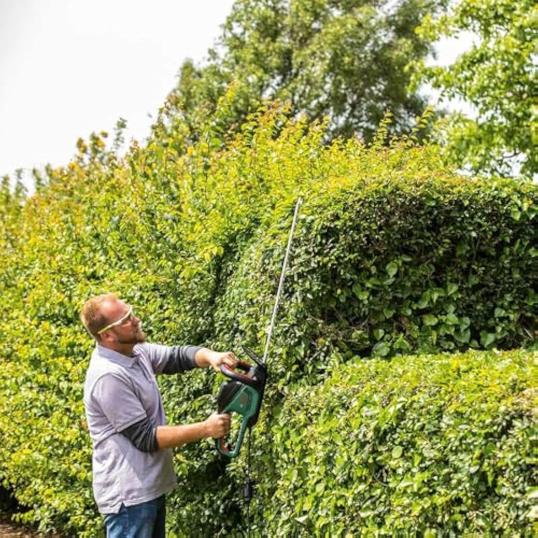 Bosch AdvancedHedgeCut 65 Electric Hedge Trimmer – 500W, 65cm Blade