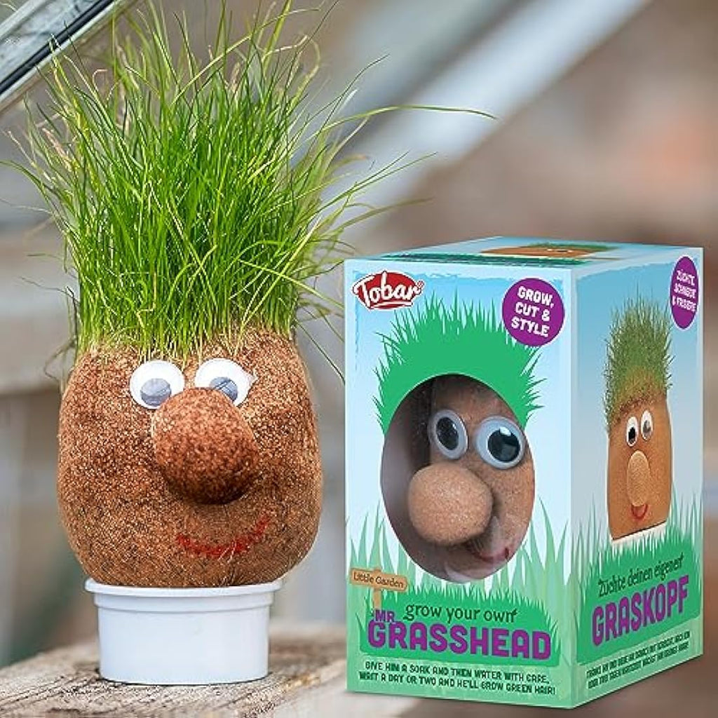 Tobar Mr Grasshead Novelty Growing Kit – Kids Educational Nature Toy