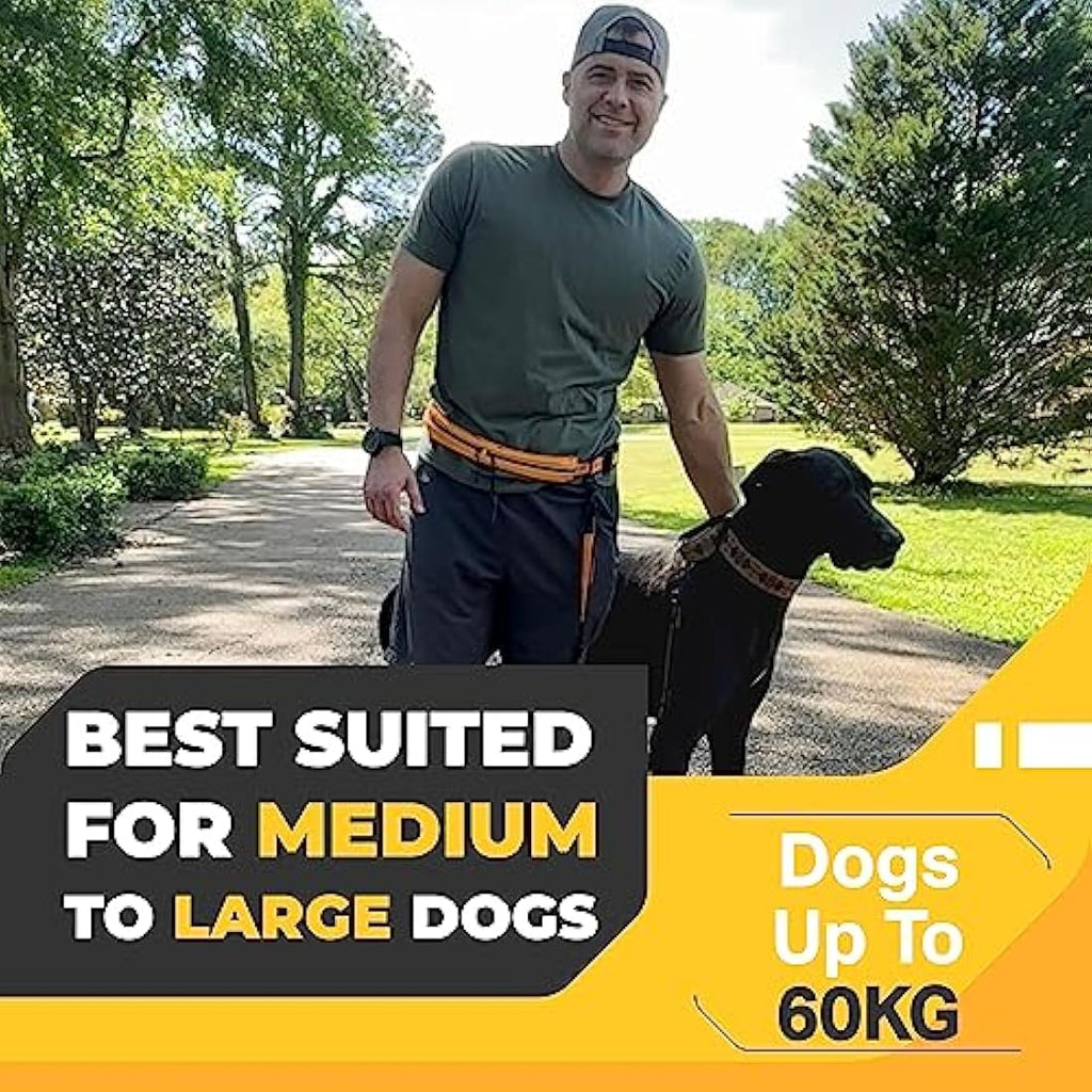 Barkswell Hands Free Double Dog Lead | Reflective Running Belt for 2 Dogs