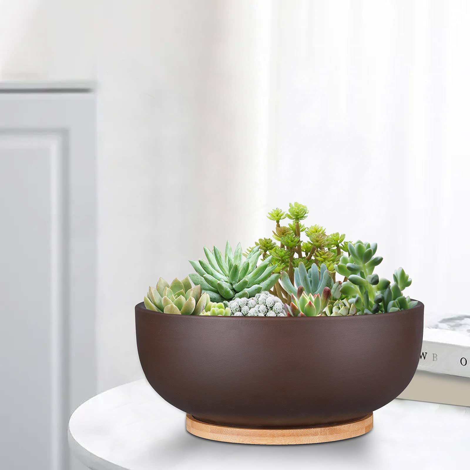 Thirtypot 25cm Terracotta Planter – Large Succulent Pot with Saucer