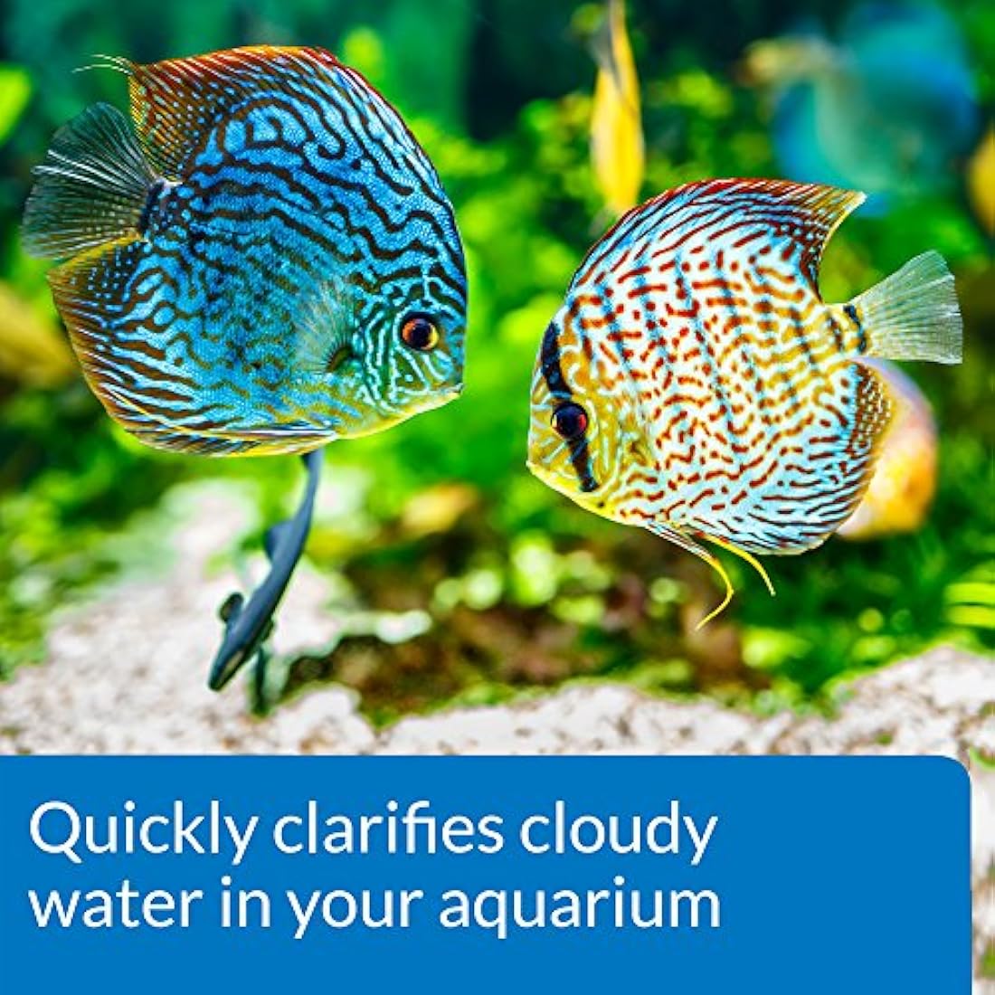 API Accu-Clear Freshwater Aquarium Water Clarifier - 37 ml Bottle