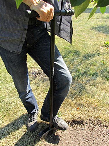 Fiskars Solid Lawn Edger – Boron Steel Spade with T-Grip Handle, 109cm