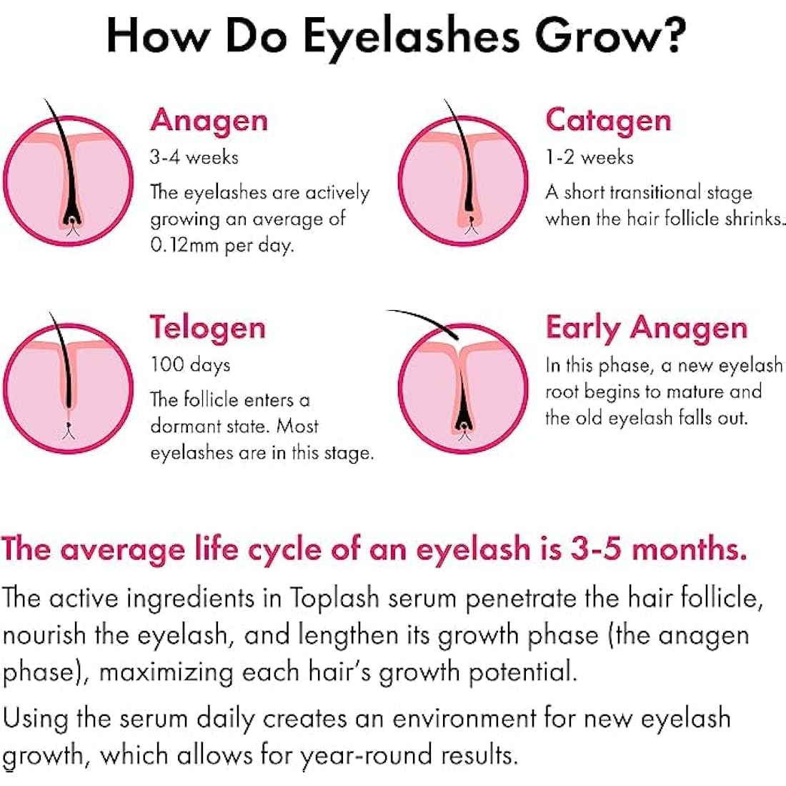 TOPLASH Eyelash and Eyebrow Growth Serum – Natural Volumizing Formula