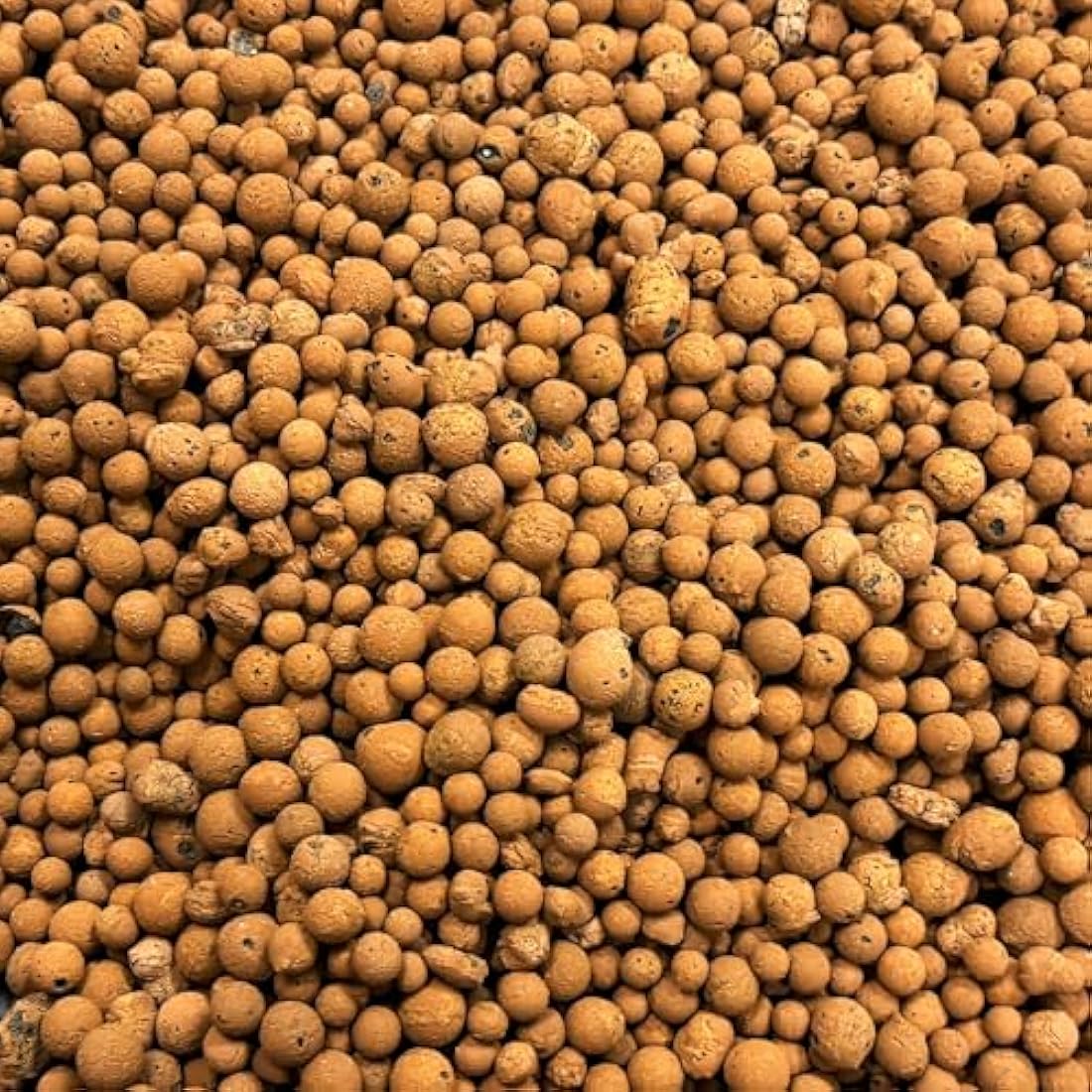 Clay Pebbles for Hydroponics - Eco-Friendly Growing Medium (1L)