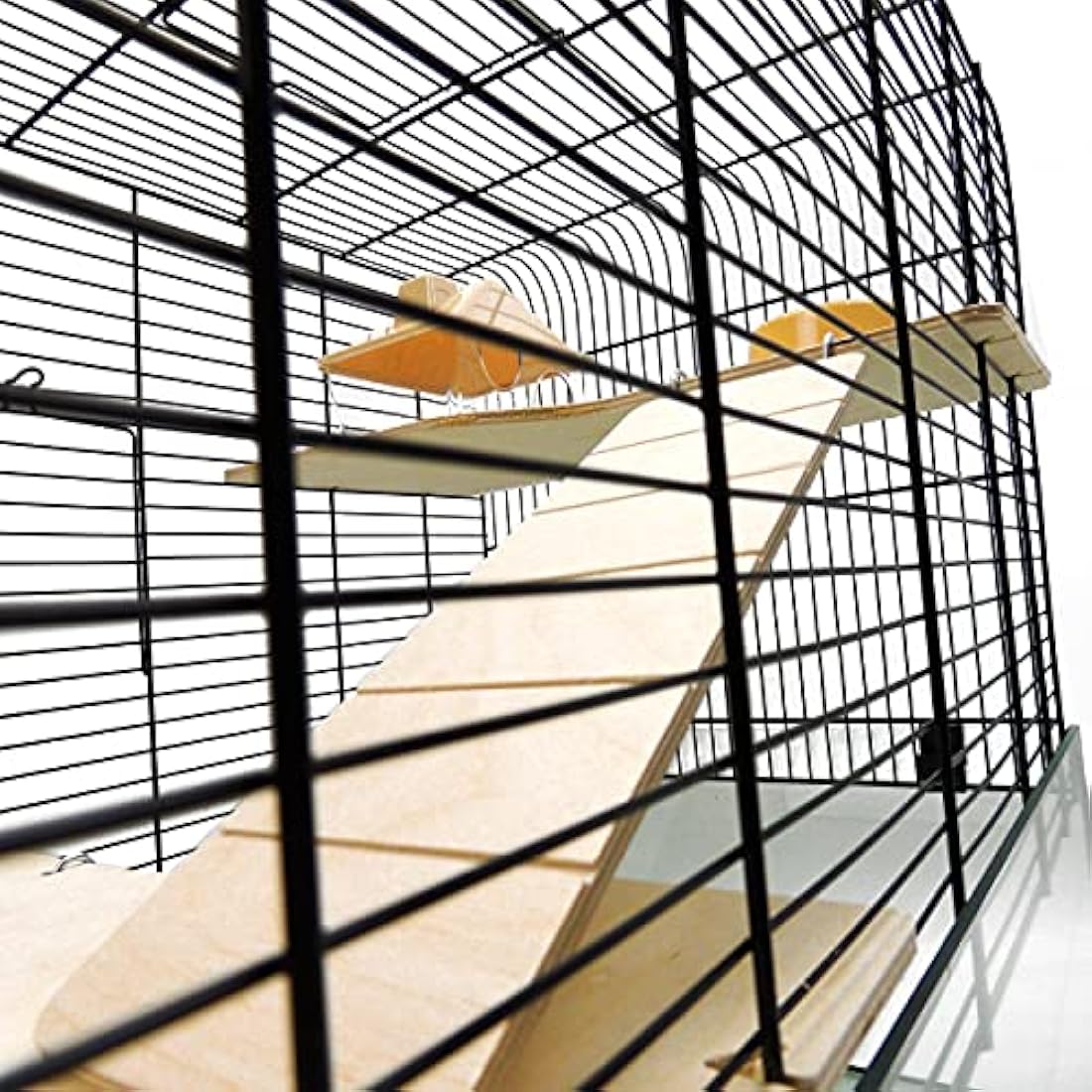 Little Friends Savoy Glass Gerbilarium Cage for Hamsters and Rats