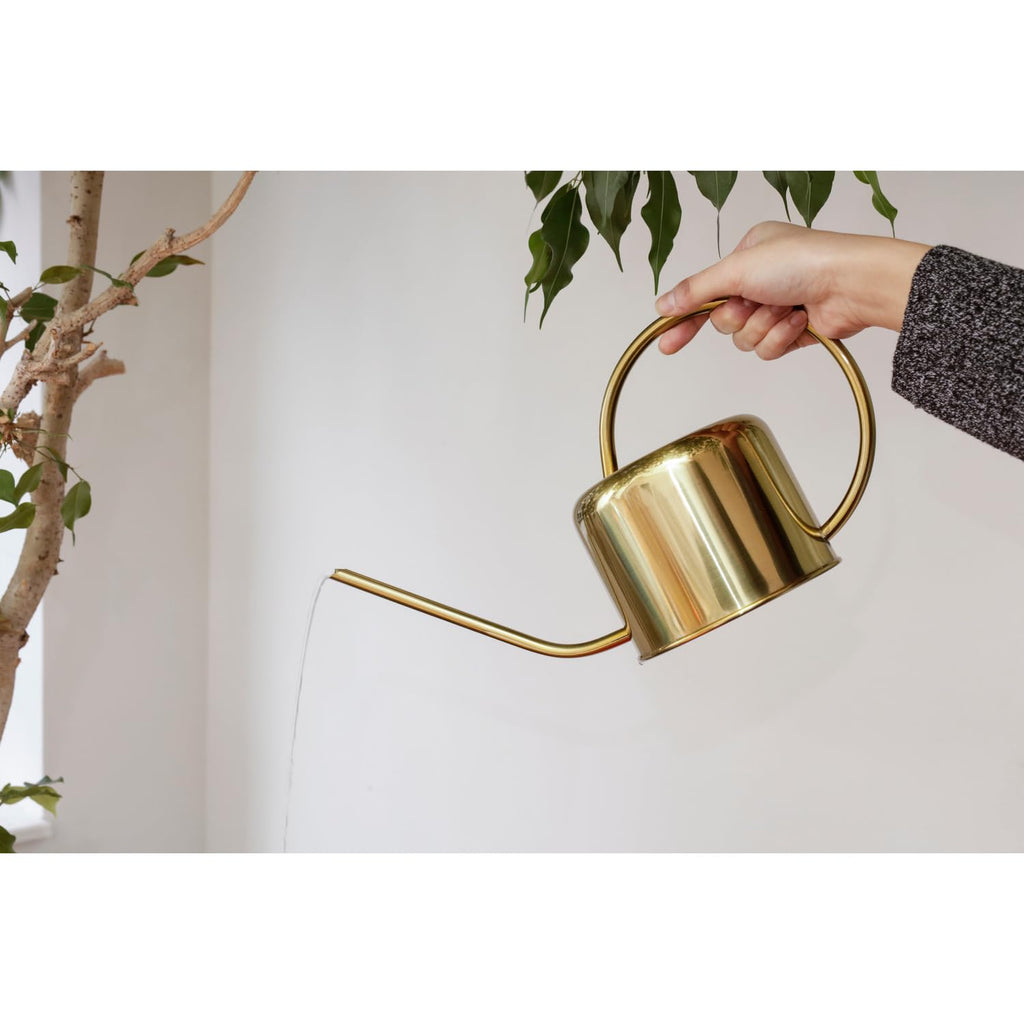 Kikkerland Vintage Gold Watering Can – Indoor Houseplant Garden Decor