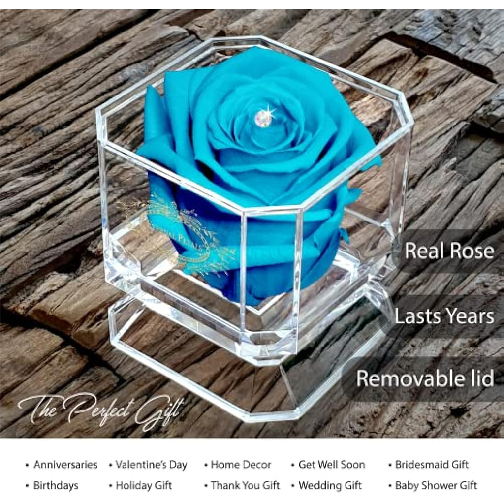 Eternal Petals Preserved Infinity Rose with Swarovski Crystal - Blue Lagoon