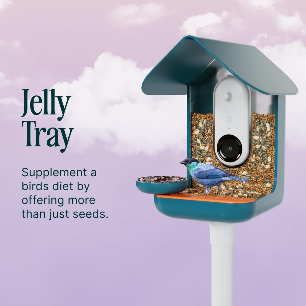 Bird Buddy 3-in-1 Nutrition Set | Water Fountain, Fruit Spike & Jelly Tray