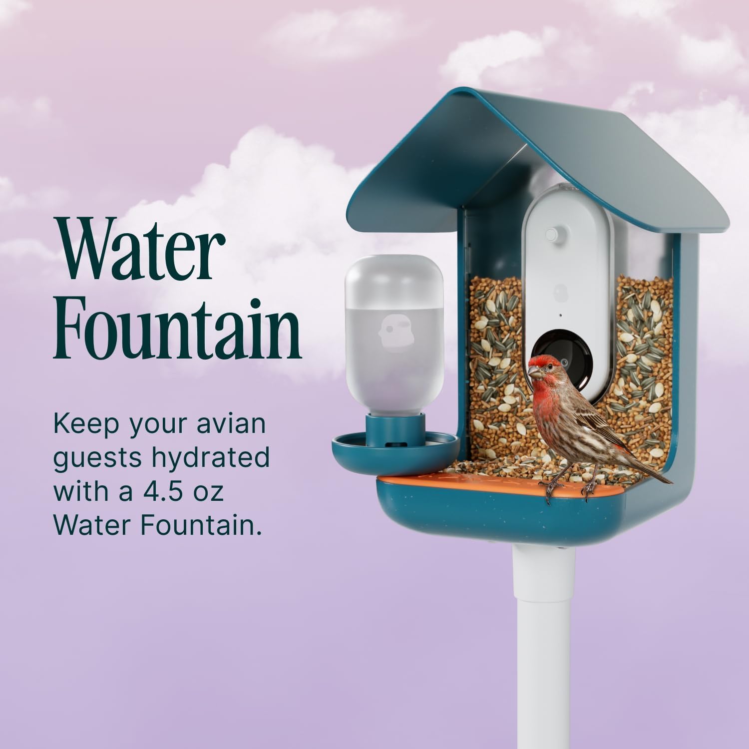 Bird Buddy 3-in-1 Nutrition Set | Water Fountain, Fruit Spike & Jelly Tray