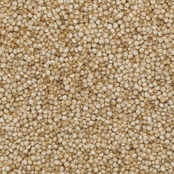 Wholefood Earth Organic Quinoa Grain – 3kg Raw Vegan High Fibre