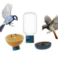 Bird Buddy 3-in-1 Nutrition Set | Water Fountain, Fruit Spike & Jelly Tray