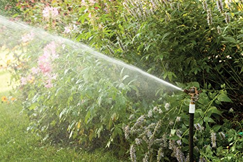 Rain Bird 35ADJTNTB Brass Impact Sprinkler | 23' - 50' Spray Distance