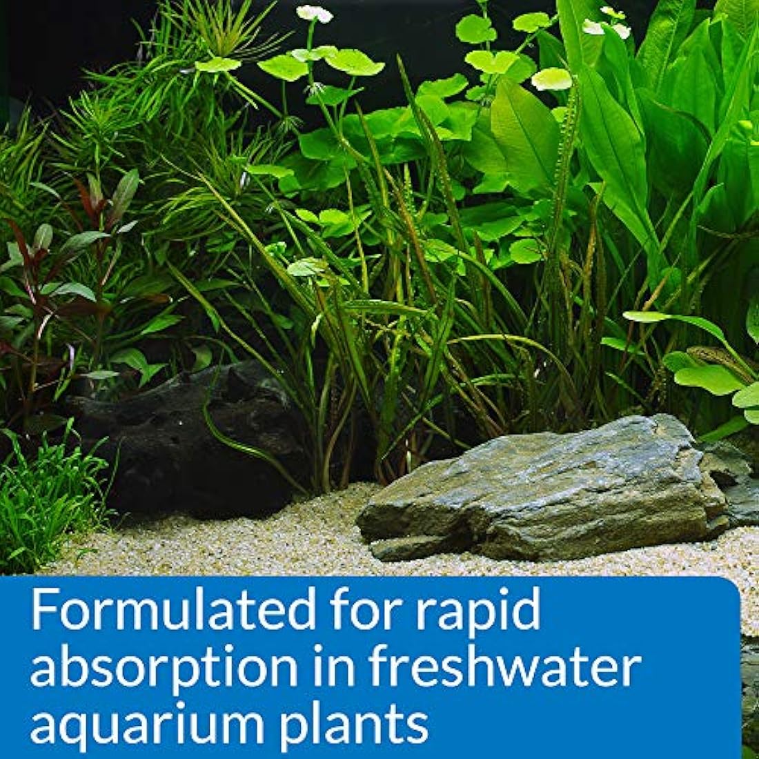 API Leaf Zone Freshwater Aquarium Plant Fertilizer with Iron - 237 ml