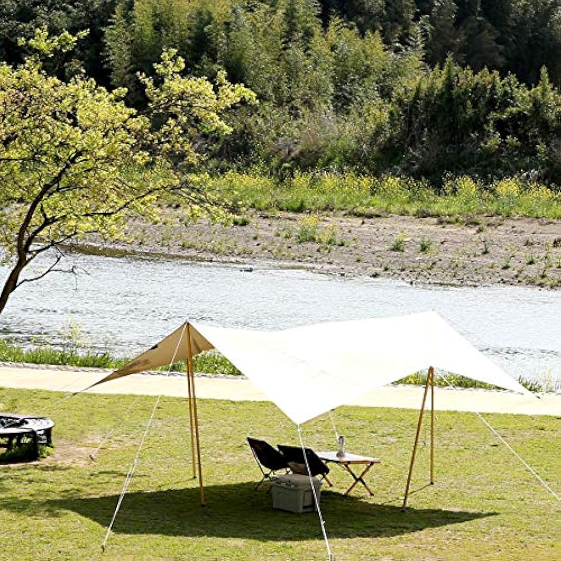 Tatonka Tarp 1 TC – Polycotton Camping Shelter (425 x 445 cm) – Beige
