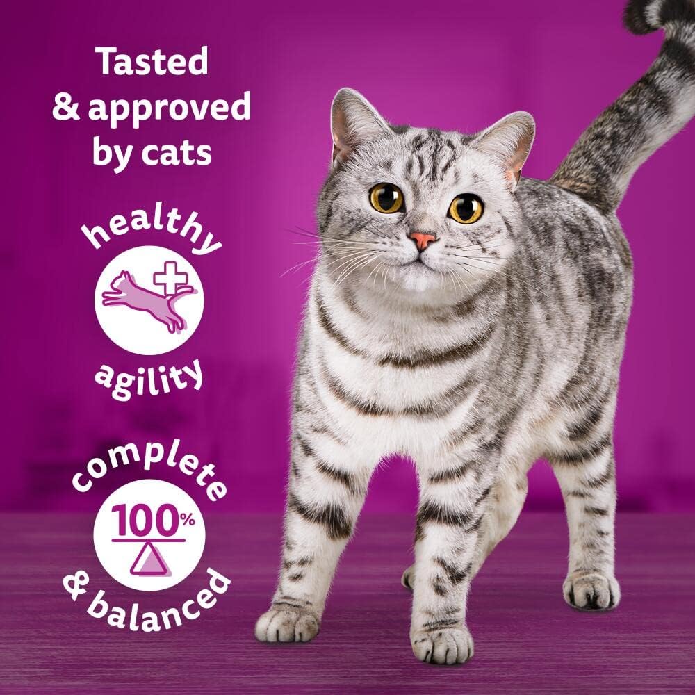 Jolof Store Adult Wet Cat Food – Tasty Mix in Gravy 84 x 85g Megapack