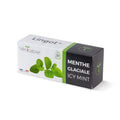 Véritable Lingots Organic Ice Mint Herb Refill Pods –