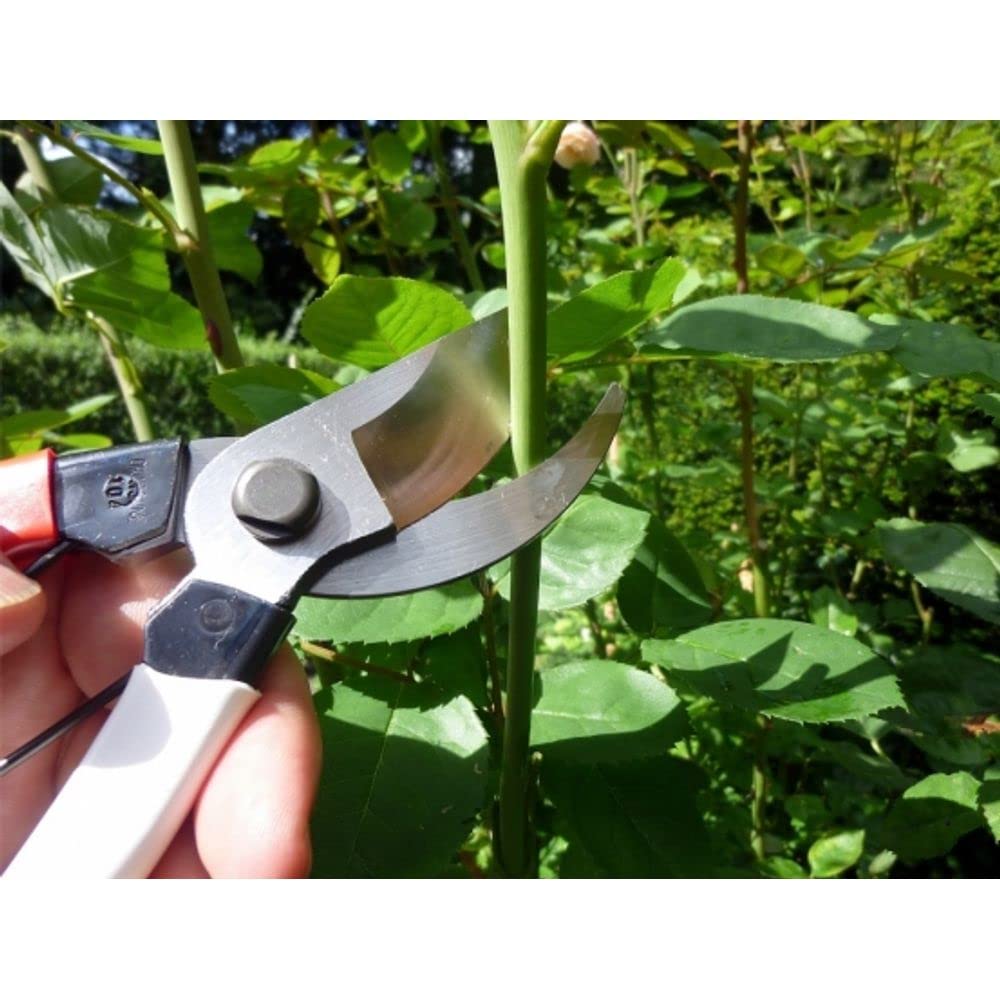 Okatsune 104 Gartenschere – Japanische Profi-Pruning Shears, Groß