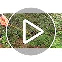 Aoipend Heavy Duty Tree Stakes Kit | 6 Metal Stakes & Reflective Straps