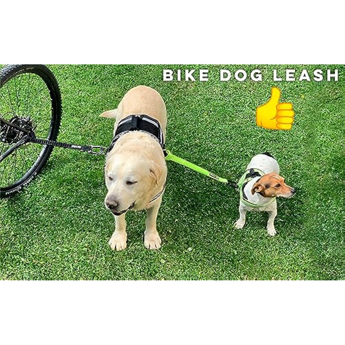 Jolof Store Hands-Free Dog Bike Leash – Tool-Free Attachment (Black)