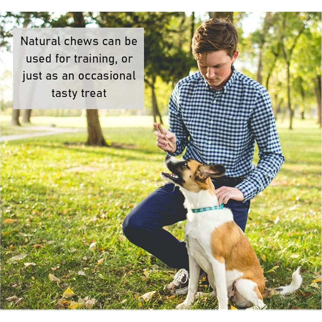 Maltbys Stores Natural Bully Sticks - 5" Beef Pizzle Dog Chews (50 Pack)