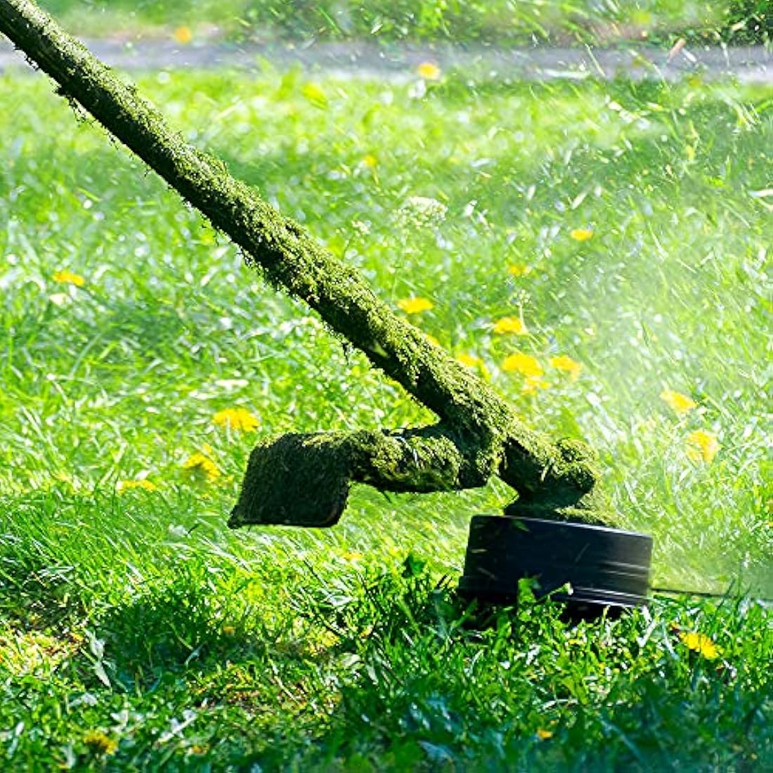 CHRORINE 1.6mm x 100m Round Nylon Strimmer Line for Grass Trimmers