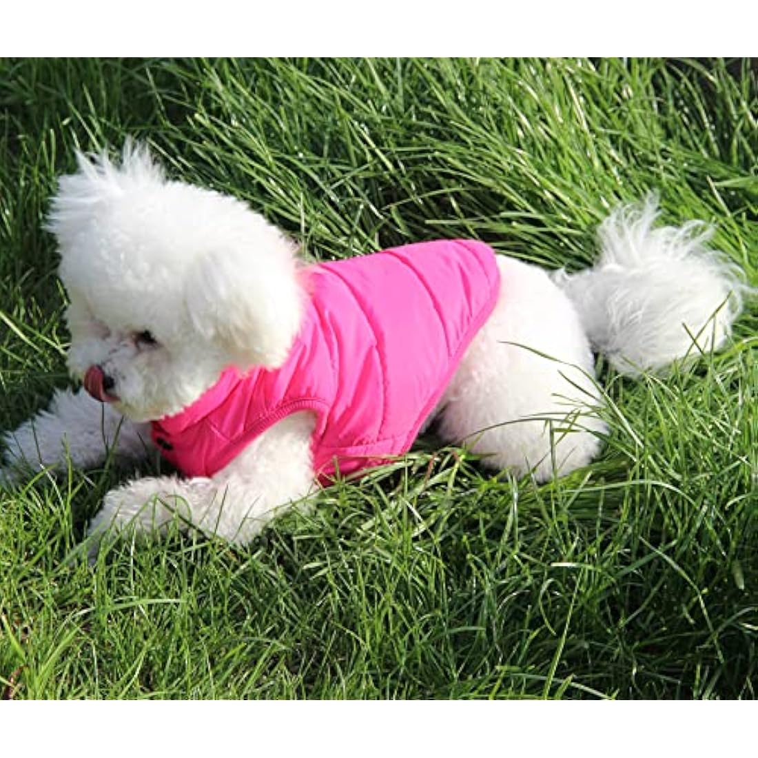 JoyDaog Fleece Lined Dog Jacket – Warm Windproof Winter Puppy Vest, Pink