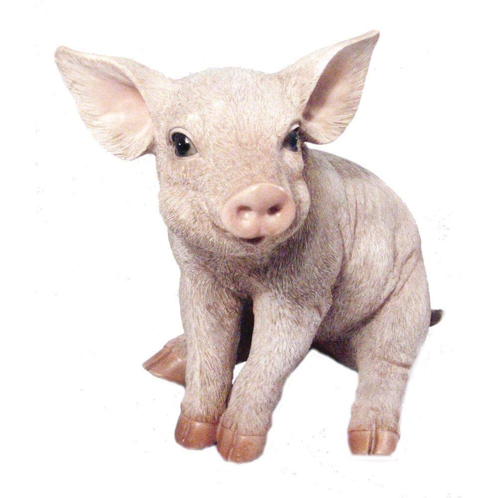Vivid Arts Real Life Piglet Garden Ornament – Realistic Resin Statue