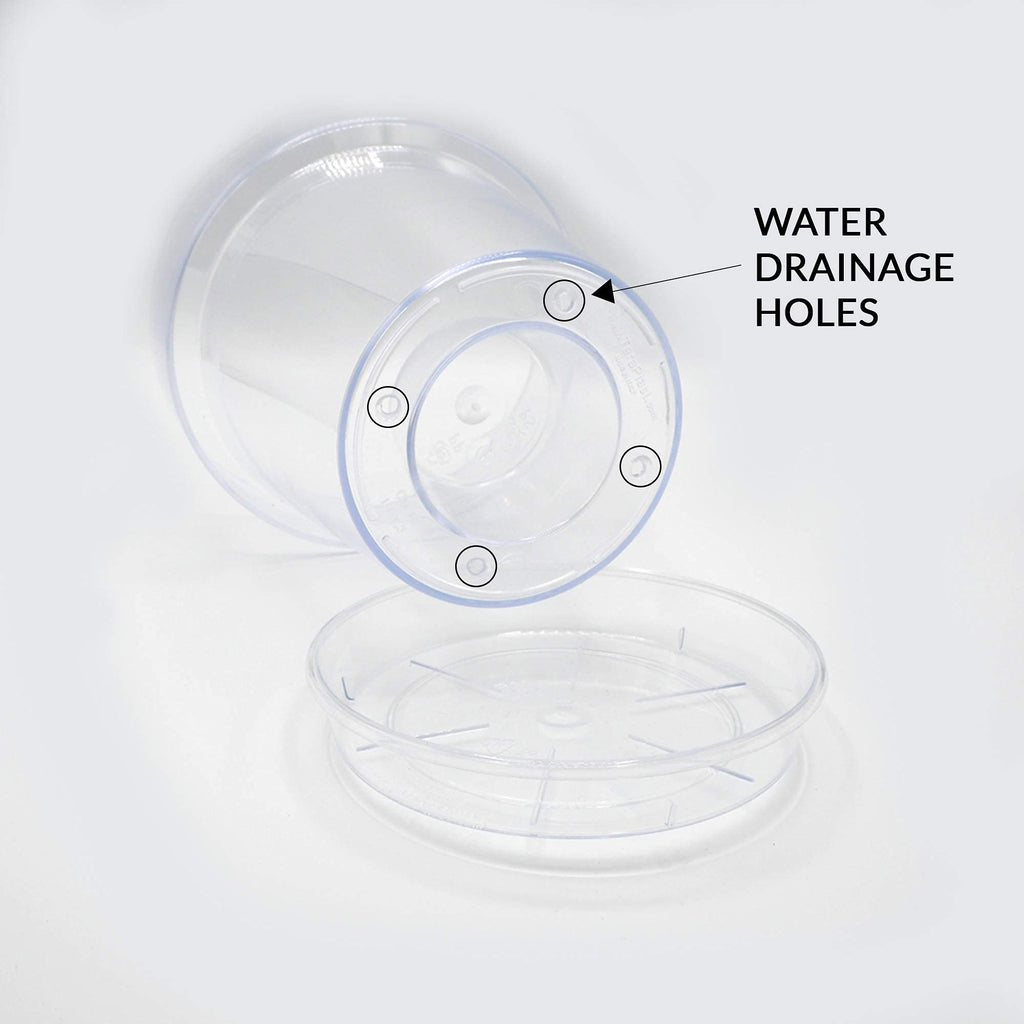 Kalapanta Transparent Orchid Pot with Drainage Holes and Saucer - 16cm