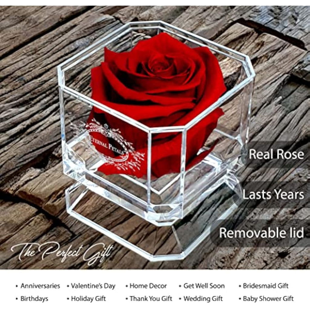 Eternal Petals Preserved Real Rose – Deep Red Infinity Rose in Gift Box