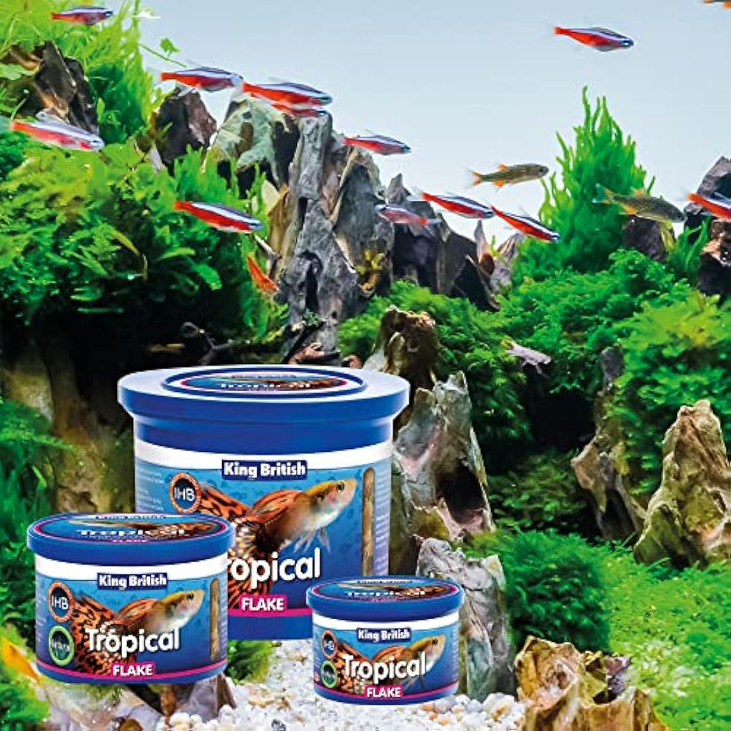 King British Tropical Fish Flake Food with Immuno Health Booster – 28g